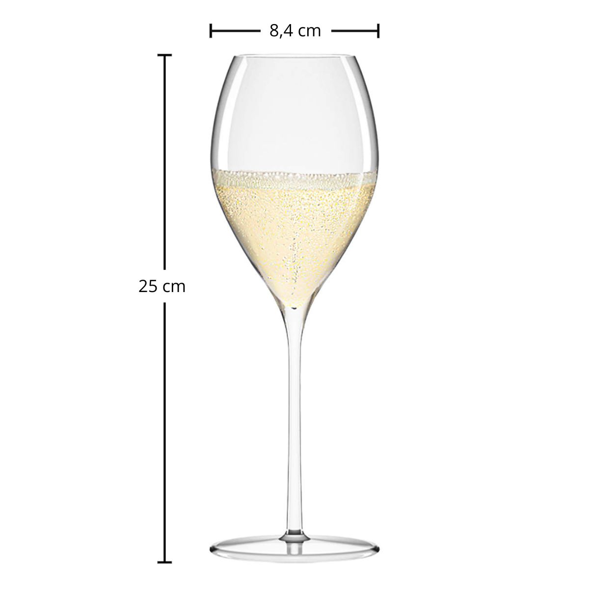 Champagnerglas | Fino - Stölzle Lausitz | 425 ml (6 Stk)