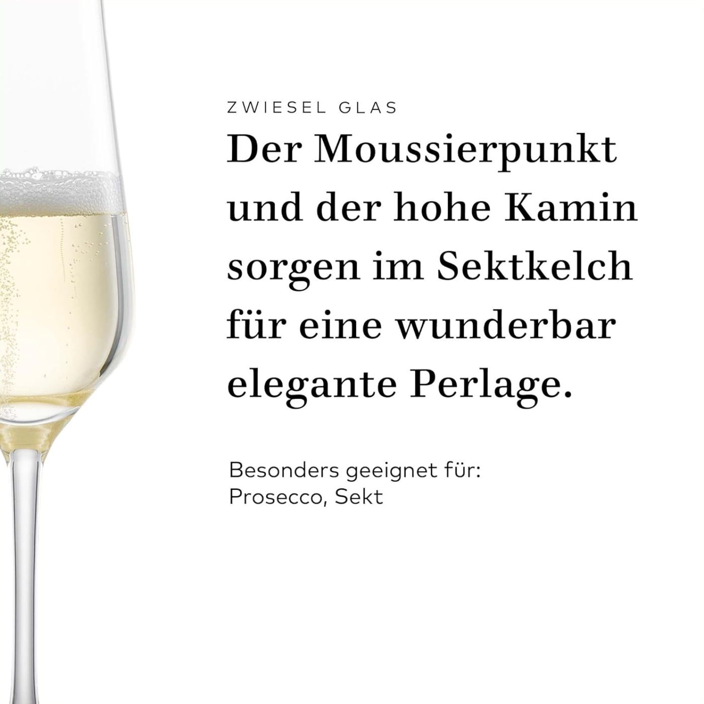 Sektglas "Asti" | Fine - Schott Zwiesel | 250 ml (6 Stk)