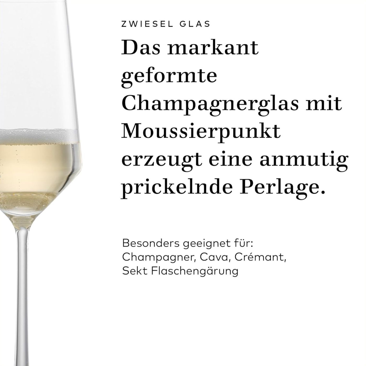 Champagnerglas | Pure - Schott Zwiesel | 300 ml (6 Stk)
