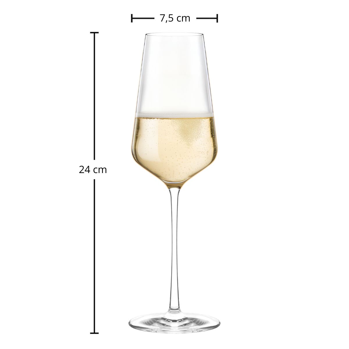 Champagnerglas | Starlight - Stölzle Lausitz | 290 ml (6 Stk)