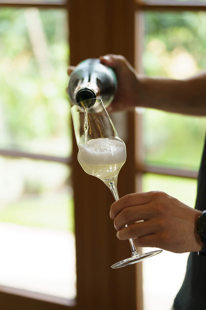 Champagnerglas | Cocoon - Stölzle Lausitz | 340 ml (6 Stk)