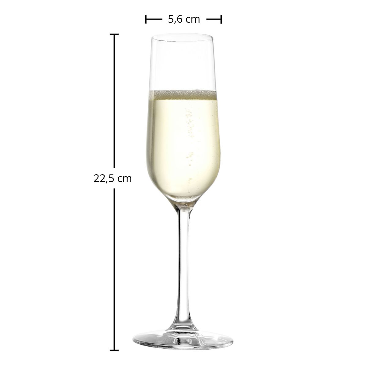 Sektglas | Revolution - Stölzle Lausitz | 0,1l Eiche - 200 ml (6 Stk)