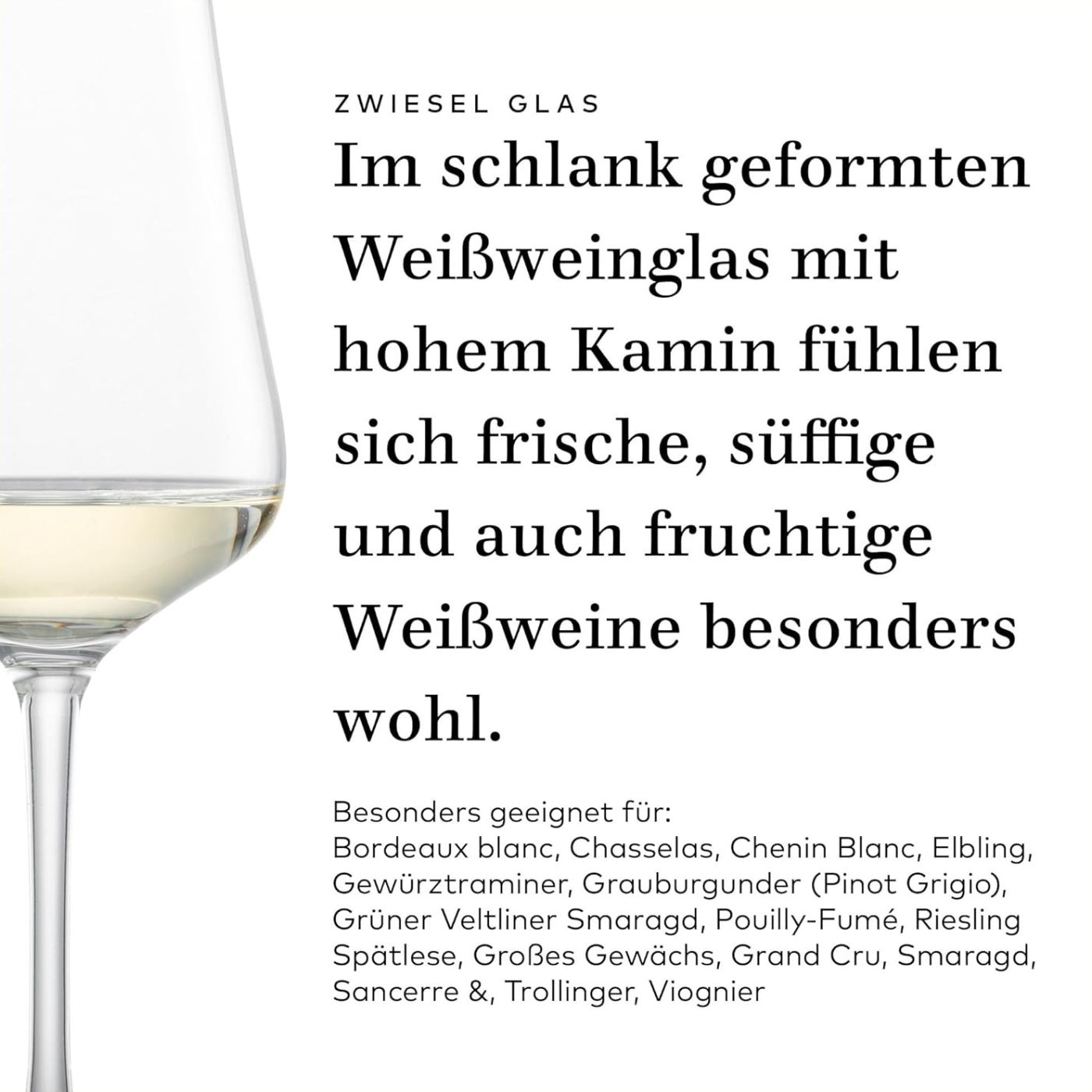 Weißweinglas "Gavi" | Fine - Schott Zwiesel | 370 ml (6 Stk)