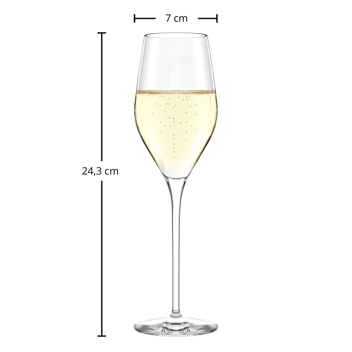 Champagnerglas | Exquisit Royal - Stölzle Lausitz | 265 ml (6 Stk)
