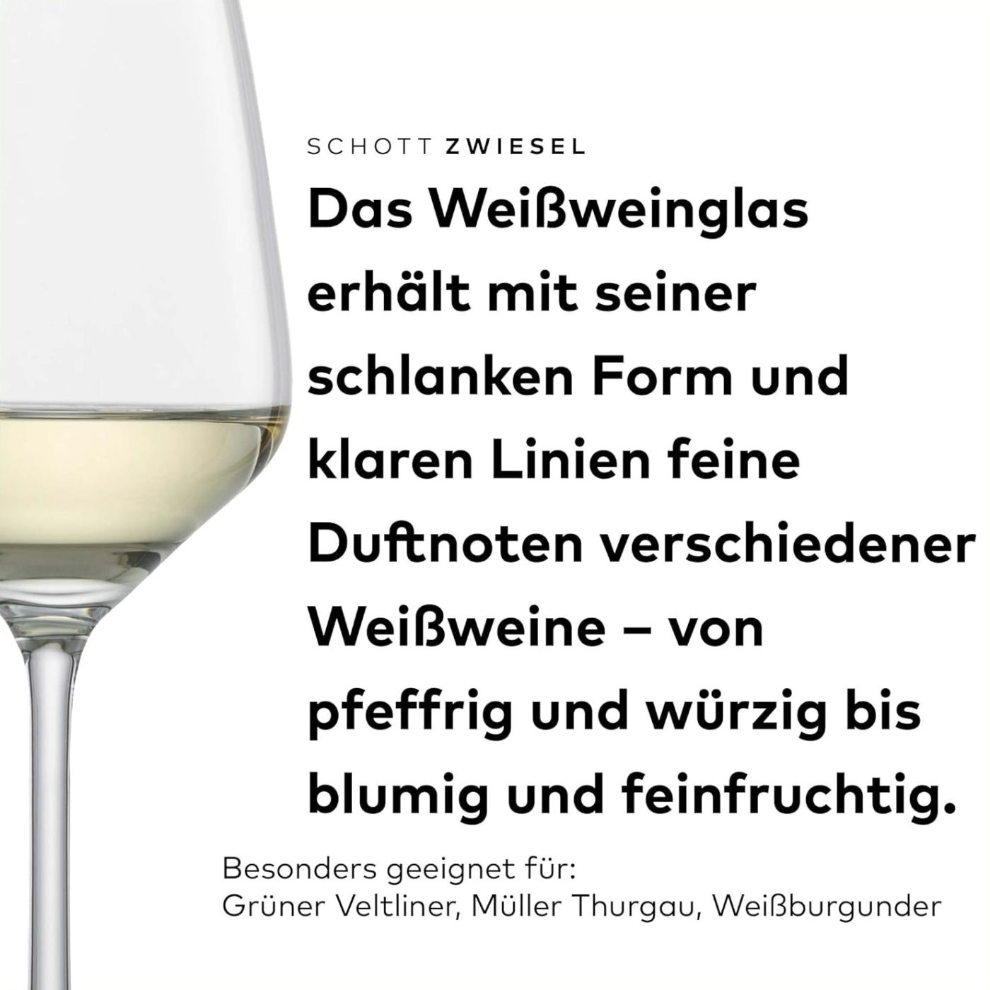 Weißweinglas | Taste - Schott Zwiesel | 0,15l Eiche - 360 ml (6 Stk)