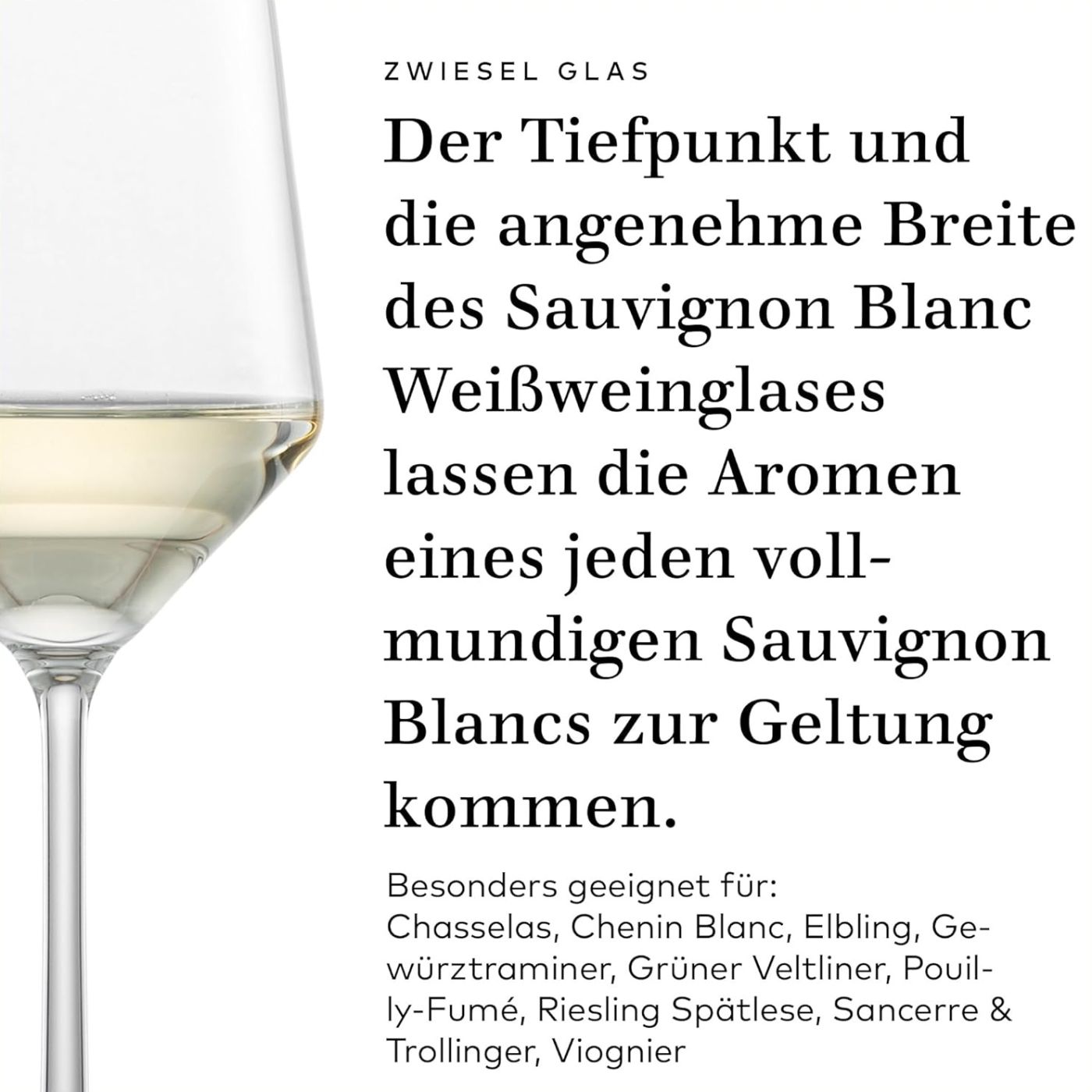 Sauvignon Weißweinglas | Pure - Schott Zwiesel | 410 ml (6 Stk)