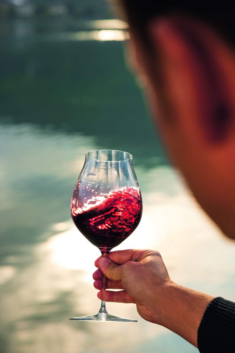 Rotweinglas Pinot Noir | Performance - Riedel | 830 ml (2 Stk)