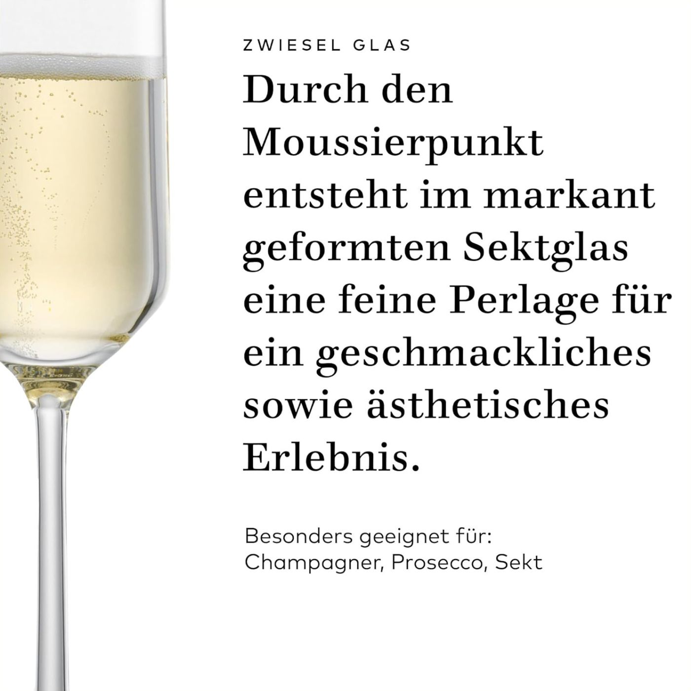 Sektglas | Pure - Schott Zwiesel | 210 ml (6 Stk)
