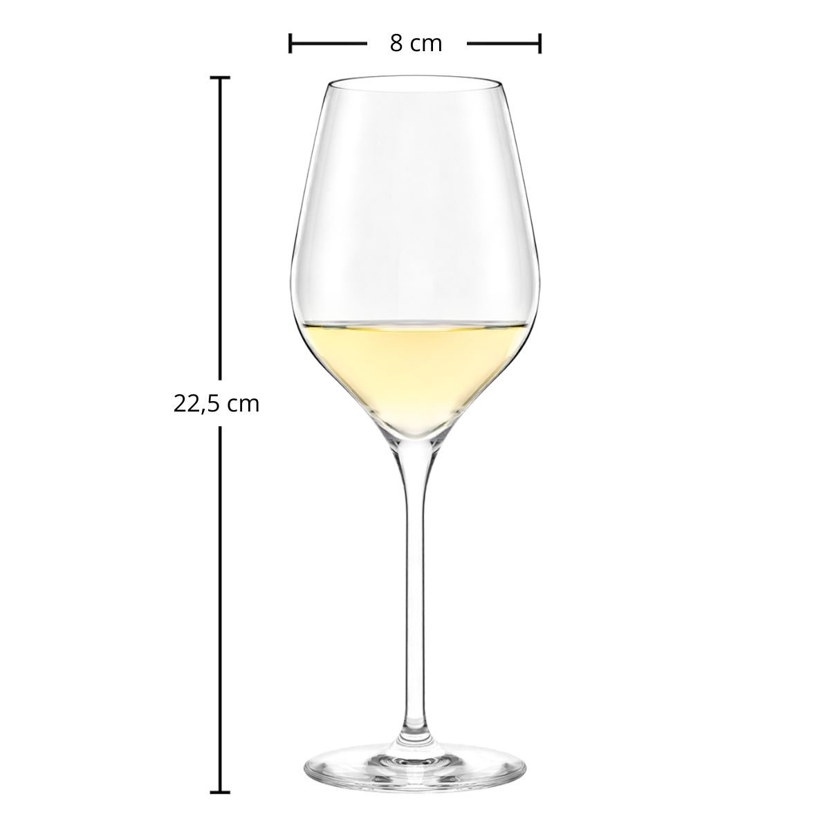 Weißweinglas | Exquisit Royal - Stölzle Lausitz | 350 ml (6 Stk)