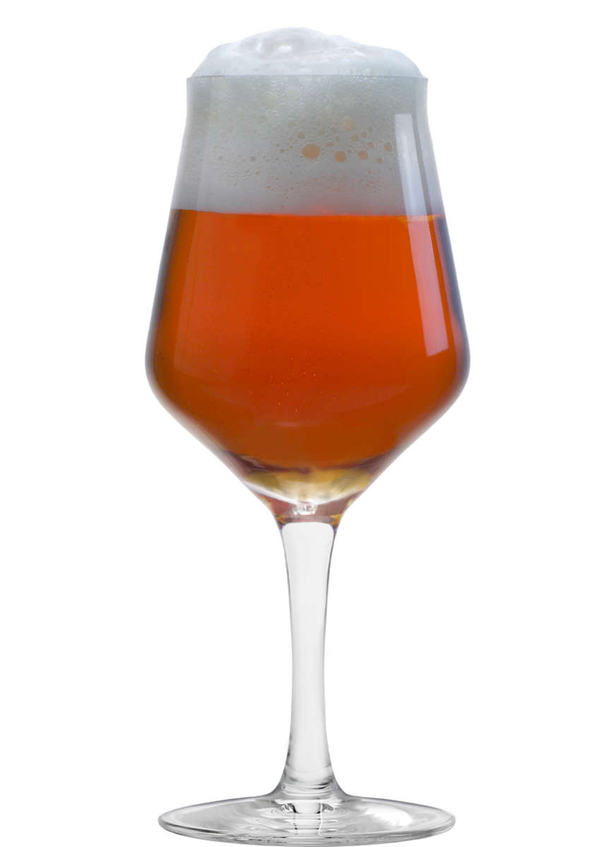 Craft Beer Glas 0,3l | Stölzle Lausitz | 430 ml (6 Stk)