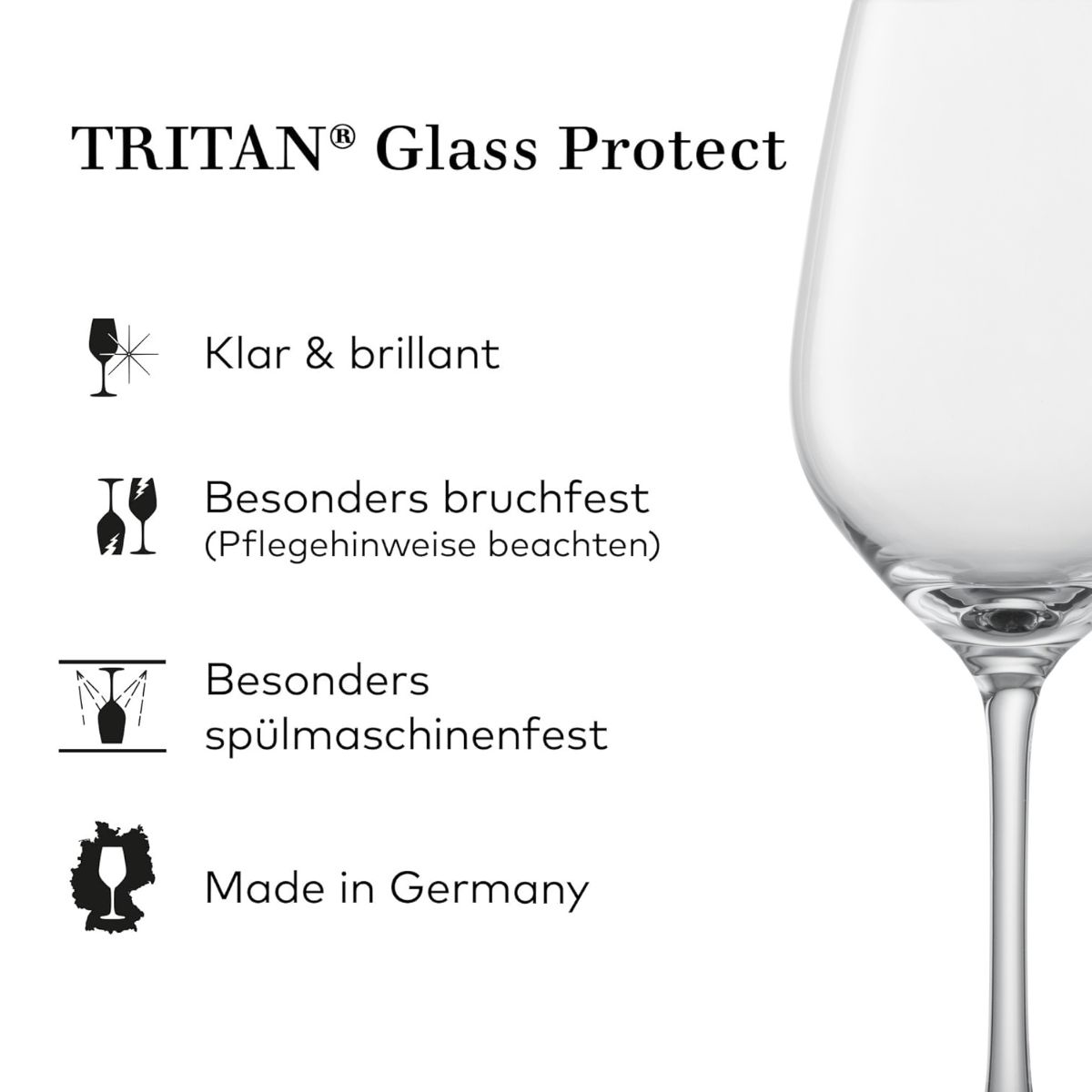 Champagnerglas | Vina - Schott Zwiesel | 270 ml (6 Stk)