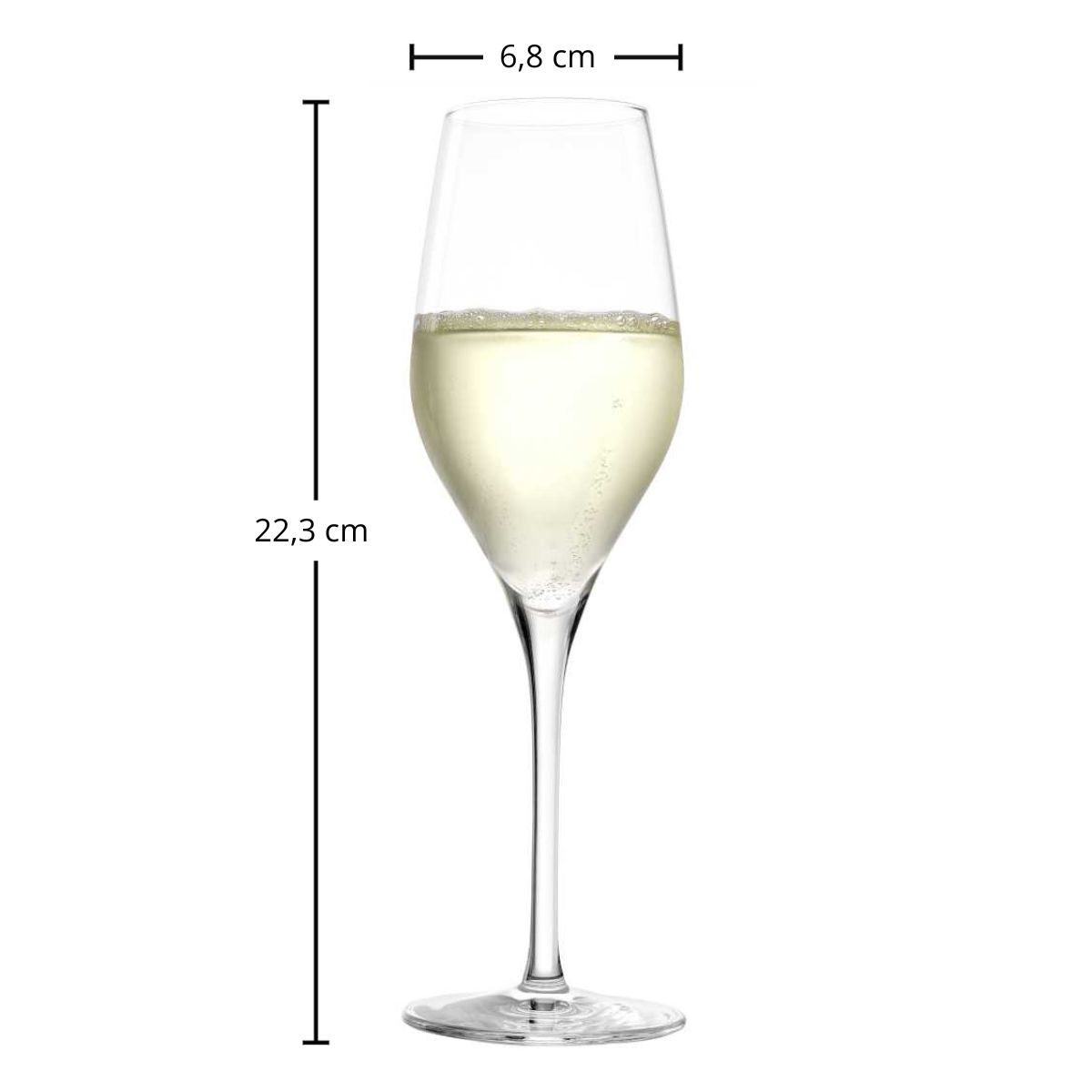 Champagnerglas | Exquisit - Stölzle Lausitz | 265 ml (6 Stk)